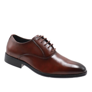 Mens Lace Up Formal Shoes