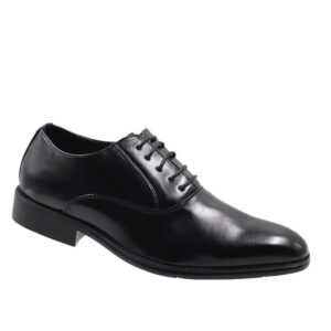 Mens Lace Up Formal Shoes