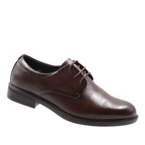 Mens Formal Lace Up Shoe - Brown